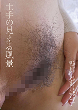 土手の見える風景